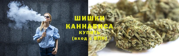 крисы Бугульма